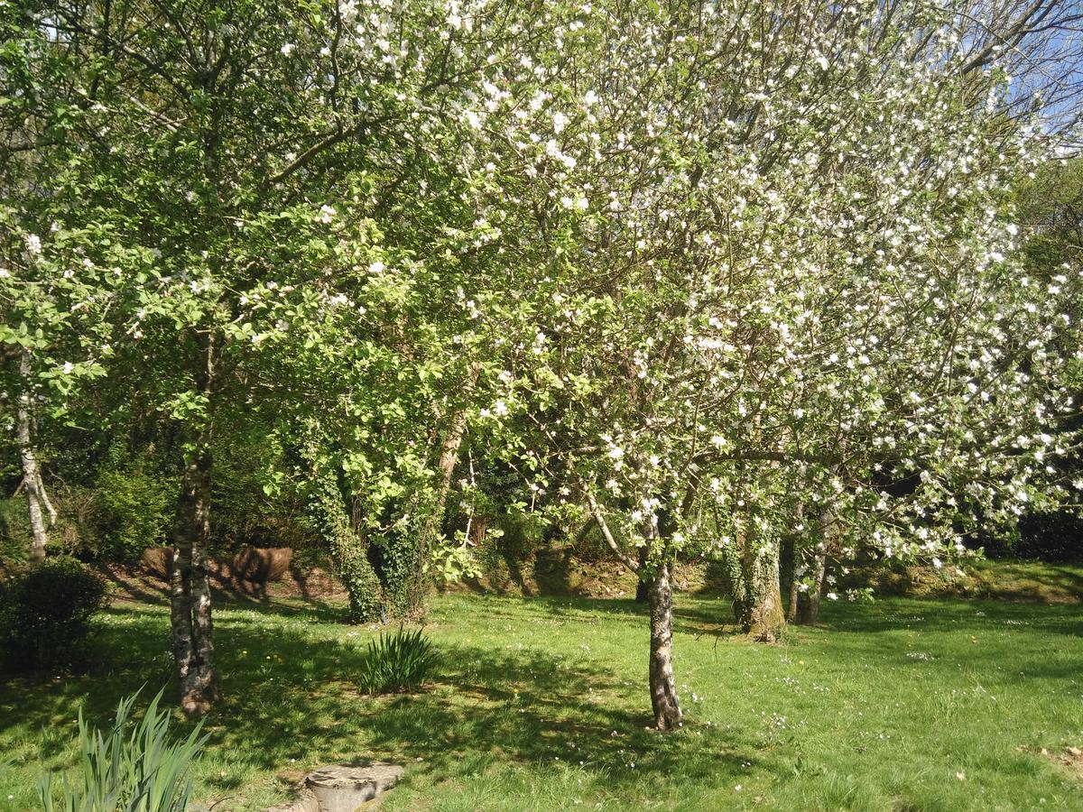 B&B La Grange Du Minuellou Melgven Dış mekan fotoğraf