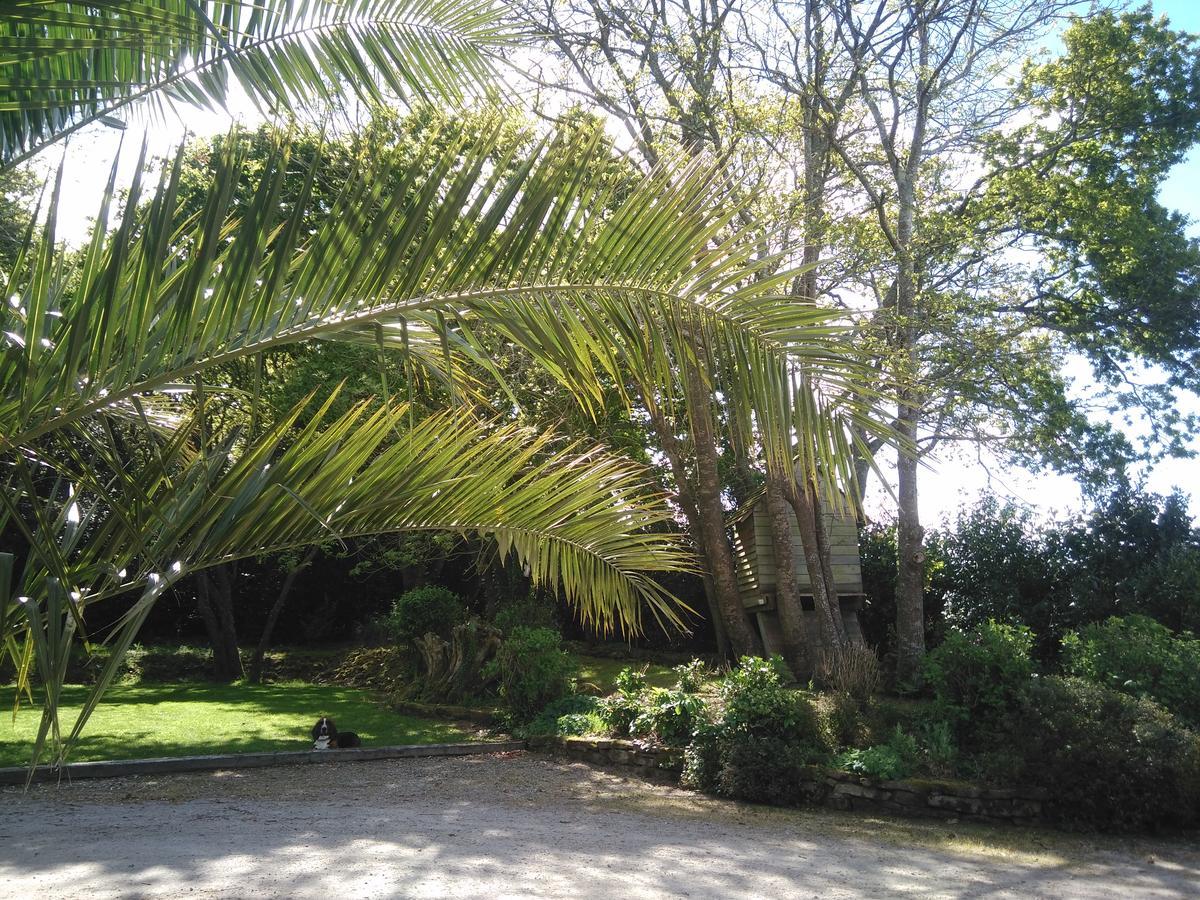 B&B La Grange Du Minuellou Melgven Dış mekan fotoğraf